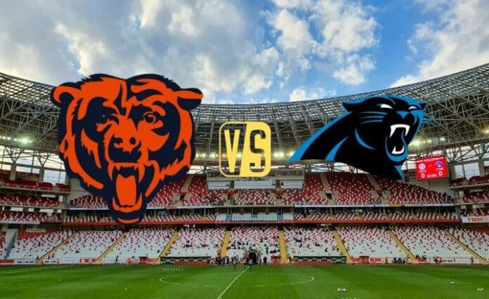 Chicago Bears vs Carolina Panthers Head To Head NFL Records & Stats