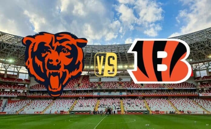 Chicago Bears vs Cincinnati Bengals Head To Head NFL Records & Stats